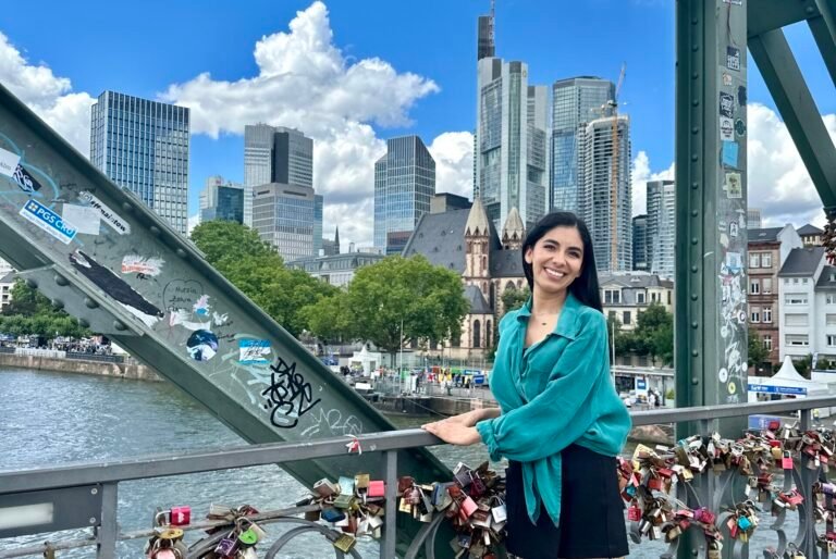 frankfurt, rio meno, el puente de hierro 